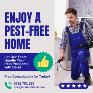 Fumigation Pest Control, Fumigation Pest Control Services, Fumigation Pest Control Services in Nairobi, Fumigation Pest Control Services in Nairobi Kenya, fumigation companies in Kenya, fumigation services nairobi, Fumigation Services company in Nairobi Kenya, Pest Control Company Kenya, pest control company, fumigation company, Affordable Fumigation,  Pest Control Services in Nairobi Kenya, affordable pest control, affordable fumigation services, Fumigation Services in Nairobi, Fumigation in kenya, fumigation and pest control, pest control business, pest control, bed bug control, pest control companies in kenya, pest control prices,