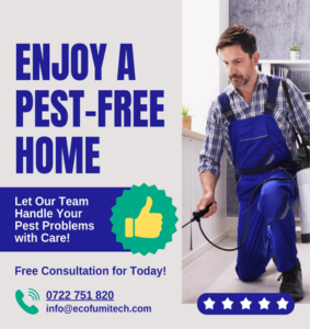 best fumigation services in Nairobi, Fumigation services Nairobi, Best pest control Nairobi, Affordable fumigation Nairobi, Fumigation companies Nairobi, Pest extermination Nairobi, Termite fumigation Nairobi, Residential fumigation Nairobi, Commercial fumigation services Nairobi, Eco-friendly fumigation Nairobi, Fumigation rates Nairobi, Pest management Nairobi, Reviews of fumigation services Nairobi, Emergency fumigation services Nairobi, Quality pest control Nairobi, Professional fumigation Nairobi, Local fumigation experts Nairobi, Fumigation service providers Nairobi, Fumigation for bed bugs Nairobi, Pest control near me Nairobi, Fast fumigation services Nairobi