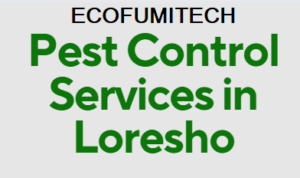 Pest Control Services in Loresho Nairobi, Pest Control Services in Loresho Nairobi, pest control services in Loresho, fumigation services in Loresho, pest control companies in Loresho, best pest control services in Loresho, pest removal services in Loresho, professional pest control in Loresho, affordable pest control services in Loresho, residential pest control in Loresho, commercial pest control in Loresho, emergency pest control in Loresho, rodent control in Loresho, termite control in Loresho, bed bug treatment in Loresho, cockroach control in Loresho, flea and tick treatment in Loresho, mosquito control services in Loresho, integrated pest management in Loresho, eco-friendly pest control in Loresho, local pest control services Loresho, pest inspection services in Loresho, pest extermination in Loresho, pest prevention services in Loresho,