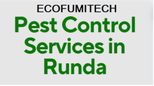 Pest Control Services in Runda Nairobi, pest control services in Runda, fumigation services in Runda, pest control companies in Runda, best pest control services in Runda, pest removal services in Runda, professional pest control in Runda, affordable pest control services in Runda, residential pest control in Runda, commercial pest control in Runda, emergency pest control in Runda, rodent control in Runda, termite control in Runda, bed bug treatment in Runda, cockroach control in Runda, flea and tick treatment in Runda, mosquito control services in Runda, integrated pest management in Runda, eco-friendly pest control in Runda, local pest control services Runda, pest inspection services in Runda, pest extermination in Runda, pest prevention services in Runda, pest control services in Runda contacts, pest control Runda, fumigation in Runda, pest control in Runda, fumigators in Runda, pest control services in Runda, Runda fumigation services, bed bugs control in Runda, bees control services in Runda, cockroaches control services in Runda, fleas control services in Runda, fumigation company in Runda, pest control company in Runda,bats control in Runda,pest controller in Runda, pest control thiks, pest control, pest control services, fumigation services, fumigation companies in Runda, pest control services in Runda, fumigation services near me, fumigation services prices in Runda, fumigation services in nairobi Runda, Runda pest control services, pest control services in nairobi Runda, Runda pest, Runda fumigation, Runda pest control, pest, pest control service, jopestkil, expert fumigation services in Runda, pest control in nairobi Runda, fumigation and pest control services, bedbugs control services in Runda, bats control services in Runda