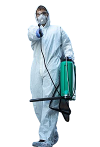 Pest Control Services in Mombasa, Fumigation and Pest Control Services in Mombasa, fumigation services in Mombasa, pest control companies in Mombasa, fumigation in Mombasa, best pest control services in Mombasa, pest control in Mombasa, pest removal services in Mombasa, professional pest control in Mombasa, affordable pest control services in Mombasa, residential pest control in Mombasa, commercial pest control in Mombasa, emergency pest control in Mombasa, rodent control in Mombasa, termite control in Mombasa, bed bug treatment in Mombasa, cockroach control in Mombasa, flea and tick treatment in Mombasa, mosquito control services in Mombasa, integrated pest management in Mombasa, eco-friendly pest control in Mombasa, local pest control services Mombasa, pest inspection services in Mombasa, pest extermination in Mombasa, pest prevention services in Mombasa, pest control services in Mombasa contacts, pest control Mombasa, fumigation in Mombasa, pest control in Mombasa, fumigators in Mombasa, pest control services in Mombasa, Mombasa fumigation services, bed bugs control in Mombasa, bees control services in Mombasa, cockroaches control services in Mombasa, fleas control services in Mombasa, fumigation company in Mombasa, pest control company in Mombasa,bats control in Mombasa, pest controller in Mombasa, pest control thiks, pest control, pest control services, fumigation services, fumigation companies in Mombasa, pest control services in Mombasa, fumigation services near me, fumigation services prices in Mombasa, fumigation services in nairobi Mombasa, Mombasa pest control services, pest control services in nairobi Mombasa, Mombasa pest, Mombasa fumigation, Mombasa pest control, pest, pest control service, expert fumigation services in Mombasa, pest control in nairobi Mombasa, fumigation and pest control services, bedbugs control services in Mombasa, bats control services in Mombasa