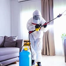 Pest Control Services in Mombasa, Fumigation and Pest Control Services in Mombasa, fumigation services in Mombasa, pest control companies in Mombasa, fumigation in Mombasa, best pest control services in Mombasa, pest control in Mombasa, pest removal services in Mombasa, professional pest control in Mombasa, affordable pest control services in Mombasa, residential pest control in Mombasa, commercial pest control in Mombasa, emergency pest control in Mombasa, rodent control in Mombasa, termite control in Mombasa, bed bug treatment in Mombasa, cockroach control in Mombasa, flea and tick treatment in Mombasa, mosquito control services in Mombasa, integrated pest management in Mombasa, eco-friendly pest control in Mombasa, local pest control services Mombasa, pest inspection services in Mombasa, pest extermination in Mombasa, pest prevention services in Mombasa, pest control services in Mombasa contacts, pest control Mombasa, fumigation in Mombasa, pest control in Mombasa, fumigators in Mombasa, pest control services in Mombasa, Mombasa fumigation services, bed bugs control in Mombasa, bees control services in Mombasa, cockroaches control services in Mombasa, fleas control services in Mombasa, fumigation company in Mombasa, pest control company in Mombasa,bats control in Mombasa, pest controller in Mombasa, pest control thiks, pest control, pest control services, fumigation services, fumigation companies in Mombasa, pest control services in Mombasa, fumigation services near me, fumigation services prices in Mombasa, fumigation services in nairobi Mombasa, Mombasa pest control services, pest control services in nairobi Mombasa, Mombasa pest, Mombasa fumigation, Mombasa pest control, pest, pest control service, expert fumigation services in Mombasa, pest control in nairobi Mombasa, fumigation and pest control services, bedbugs control services in Mombasa, bats control services in Mombasa