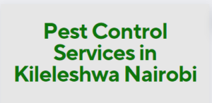 Pest Control Services in Kileleshwa Nairobi, pest control services in Kileleshwa, fumigation services in Kileleshwa, pest control companies in Kileleshwa, best pest control services in Kileleshwa, pest removal services in Kileleshwa, professional pest control in Kileleshwa, affordable pest control services in Kileleshwa, residential pest control in Kileleshwa, commercial pest control in Kileleshwa, emergency pest control in Kileleshwa, rodent control in Kileleshwa, termite control in Kileleshwa, bed bug treatment in Kileleshwa, cockroach control in Kileleshwa, flea and tick treatment in Kileleshwa, mosquito control services in Kileleshwa, integrated pest management in Kileleshwa, eco-friendly pest control in Kileleshwa, local pest control services Kileleshwa, pest inspection services in Kileleshwa, pest extermination in Kileleshwa, pest prevention services in Kileleshwa, pest control services in Kileleshwa contacts, pest control Kileleshwa, fumigation in Kileleshwa, pest control in Kileleshwa, fumigators in Kileleshwa, pest control services in Kileleshwa, Kileleshwa fumigation services, bed bugs control in Kileleshwa, bees control services in Kileleshwa, cockroaches control services in Kileleshwa, fleas control services in Kileleshwa, fumigation company in Kileleshwa, pest control company in Kileleshwa,bats control in Kileleshwa,pest controller in Kileleshwa, pest control thiks, pest control, pest control services, fumigation services, fumigation companies in Kileleshwa, pest control services in Kileleshwa, fumigation services near me, fumigation services prices in Kileleshwa, fumigation services in nairobi Kileleshwa, Kileleshwa pest control services, pest control services in nairobi Kileleshwa, Kileleshwa pest, Kileleshwa fumigation, Kileleshwa pest control, pest, pest control service, jopestkil, expert fumigation services in Kileleshwa, pest control in nairobi Kileleshwa, fumigation and pest control services, bedbugs control services in Kileleshwa, bats control services in Kileleshwa