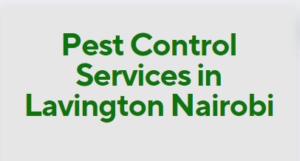 Pest Control Services in Lavington Nairobi, pest control services in Lavington, fumigation services in Lavington, pest control companies in Lavington, best pest control services in Lavington, pest removal services in Lavington, professional pest control in Lavington, affordable pest control services in Lavington, residential pest control in Lavington, commercial pest control in Lavington, emergency pest control in Lavington, rodent control in Lavington, termite control in Lavington, bed bug treatment in Lavington, cockroach control in Lavington, flea and tick treatment in Lavington, mosquito control services in Lavington, integrated pest management in Lavington, eco-friendly pest control in Lavington, local pest control services Lavington, pest inspection services in Lavington, pest extermination in Lavington, pest prevention services in Lavington, pest control services in Lavington contacts, pest control Lavington, fumigation in Lavington, pest control in Lavington, fumigators in Lavington, pest control services in Lavington, Lavington fumigation services, bed bugs control in Lavington, bees control services in Lavington, cockroaches control services in Lavington, fleas control services in Lavington, fumigation company in Lavington, pest control company in Lavington,bats control in Lavington,pest controller in Lavington, pest control thiks, pest control, pest control services, fumigation services, fumigation companies in Lavington, pest control services in Lavington, fumigation services near me, fumigation services prices in Lavington, fumigation services in nairobi Lavington, Lavington pest control services, pest control services in nairobi Lavington, Lavington pest, Lavington fumigation, Lavington pest control, pest, pest control service, jopestkil, expert fumigation services in Lavington, pest control in nairobi Lavington, fumigation and pest control services, bedbugs control services in Lavington, bats control services in Lavington