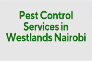 Pest Control Services in Westlands, Pest Control Services in Westlands Nairobi, pest control services in Westlands, fumigation services in Westlands, pest control companies in Westlands, best pest control services in Westlands, pest removal services in Westlands, professional pest control in Westlands, affordable pest control services in Westlands, residential pest control in Westlands, commercial pest control in Westlands, emergency pest control in Westlands, rodent control in Westlands, termite control in Westlands, bed bug treatment in Westlands, cockroach control in Westlands, flea and tick treatment in Westlands, mosquito control services in Westlands, integrated pest management in Westlands, eco-friendly pest control in Westlands, local pest control services Westlands, pest inspection services in Westlands, pest extermination in Westlands, pest prevention services in Westlands, pest control services in Westlands contacts, pest control Westlands, fumigation in Westlands, pest control in Westlands, fumigators in Westlands, pest control services in Westlands, Westlands fumigation services, bed bugs control in Westlands,