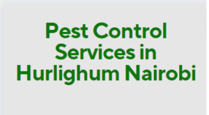 Pest Control Services in Hurlighum, Pest Control Services in Hurlighum Nairobi, pest control services in Hurlighum, fumigation services in Hurlighum, pest control companies in Hurlighum, best pest control services in Hurlighum, pest removal services in Hurlighum, 