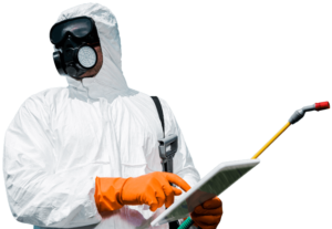 pest control offer, pest control contact near me, pest control near me contacts