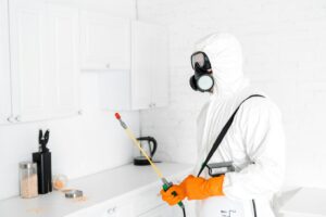 pest exterminator in protective Mask