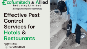 fumigation services for Restaurants, fumigation services for Hotels, pest control services for Restaurants, pest control services for Hotels, fumigation services for Hotels Kenya, Hotel Pest Control Services, Pest control services for Hotels Kenya, Fumigation for Hotels in Kenya, Hotel pest management Kenya, Hotel pest control Kenya, Fumigation companies for Hotels Kenya, Hotel Pest control companies in Kenya, Rodent control in Hotel facilities Kenya, Insect pest control for Hotels, fumigation services for Hotel Kenya, Safe fumigation practices for hotels Kenya, Pest control regulations in Hotel facilities Kenya, Eco-friendly fumigation services Kenya, Emergency pest control for hotels Kenya, Pest control cost for Hotel Kenya, Best pest control services for Hotels Kenya, Pest inspection services for Hotels Kenya, Disease prevention pest control Kenya, Integrated pest management for Hotel facilities Kenya, pest control services for restaurants, restaurant pest control cost, pest control for restaurants near me, restaurant fumigation, restaurant fumigation services, restaurant pest control cost', pest control for restaurants, restaurant pest control services, commercial pest control for restaurants, rodent control for restaurants, cockroach control for restaurants, fly control for restaurants, restaurant sanitation, restaurant health inspections, restaurant pest prevention, exterminators for restaurants, food service pest control, restaurant extermination, restaurant pest management, restaurant pest elimination, restaurant pest control Nairobi, Hotel pest control Nairobi,