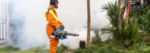 fumigation services nairobi kenya, fumigation services in nairobi kenya,  fumigation services in kenya, best fumigation services in kenya, 