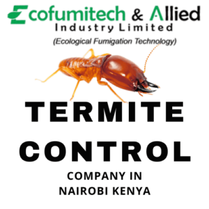 termite control companies in Kenya, termite killer company, termite control in Nairobi, Termite pest control service near me, Termite control companies in Nairobi, Termite treatment services in Kenya, Termite exterminator in Nairobi, Termite fumigation services in Kenya, Termite inspection services in Nairobi, Termite control service providers in Nairobi, Residential termite control services in Nairobi, Commercial termite control services in Kenya, Termite killer chemical in Kenya, Termite treatment products in Nairobi, Termite killer spray in Kenya, DIY termite control products in Kenya, Termite killer company in Nairobi, Best termite control company in Kenya, Termite control companies in Kenya, Top termite control services in Nairobi, Termite control company near me, Affordable termite control companies in Nairobi, Reliable termite control services in Kenya, Professional termite control company in Nairobi, Termite control service providers in Kenya, Experienced termite control companies in Nairobi, Termite control services for commercial buildings in Kenya, Termite inspection cost in Nairobi, Termite control for wooden houses in Kenya, Termite treatment for soil in Nairobi